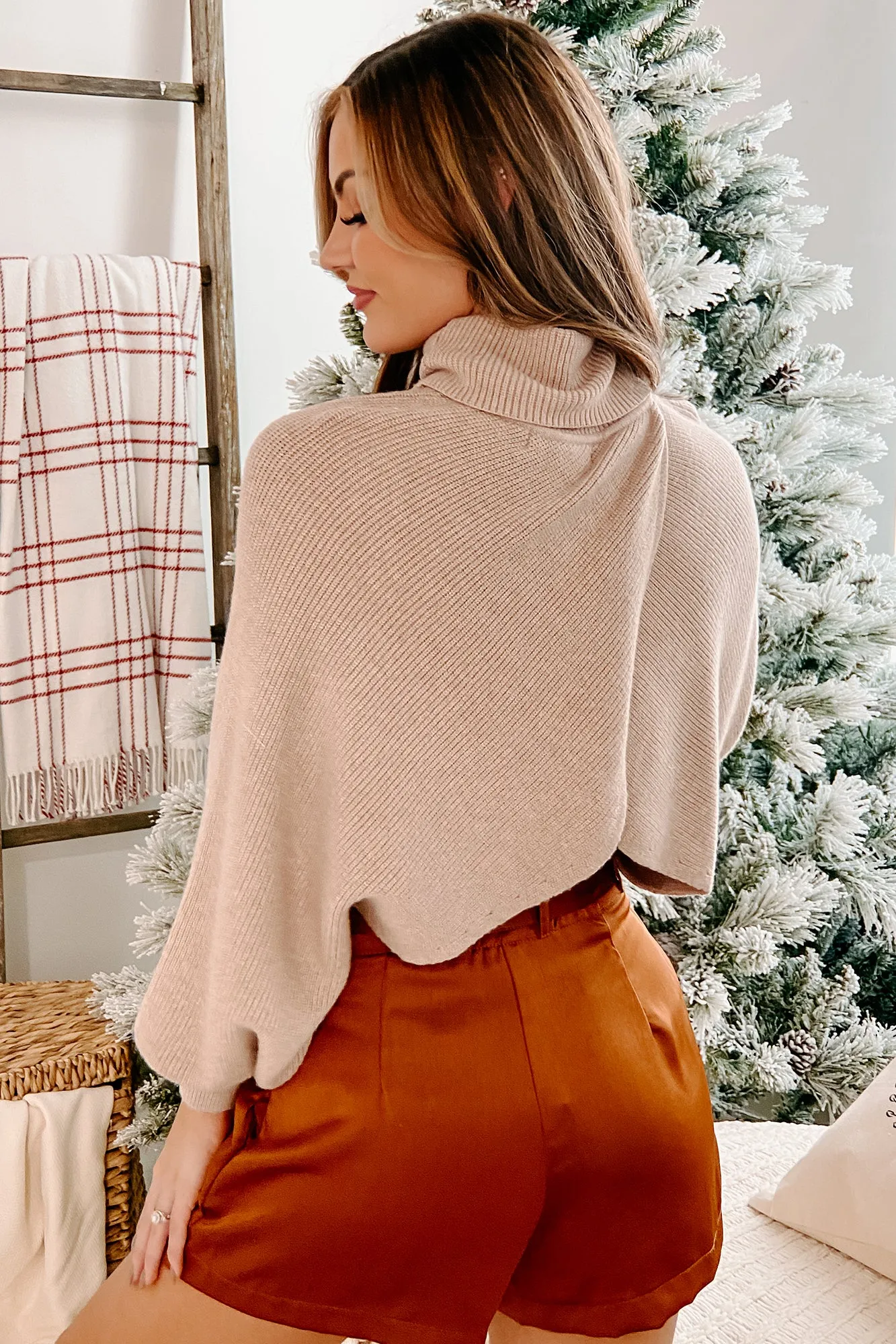 Alesha Cropped Turtleneck Sweater (Beige)