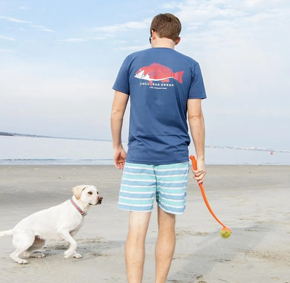 Bald Eagle: Long Sleeve T-Shirt - Gray