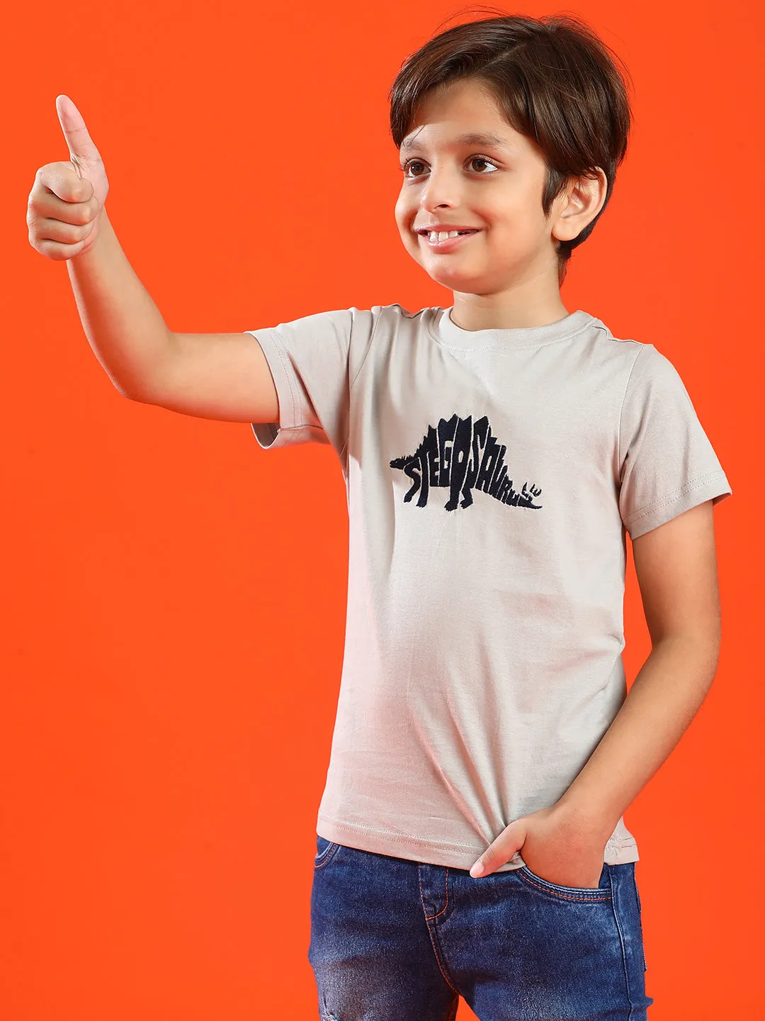 Boys Light Grey 100% Cotton Printed T-shirt