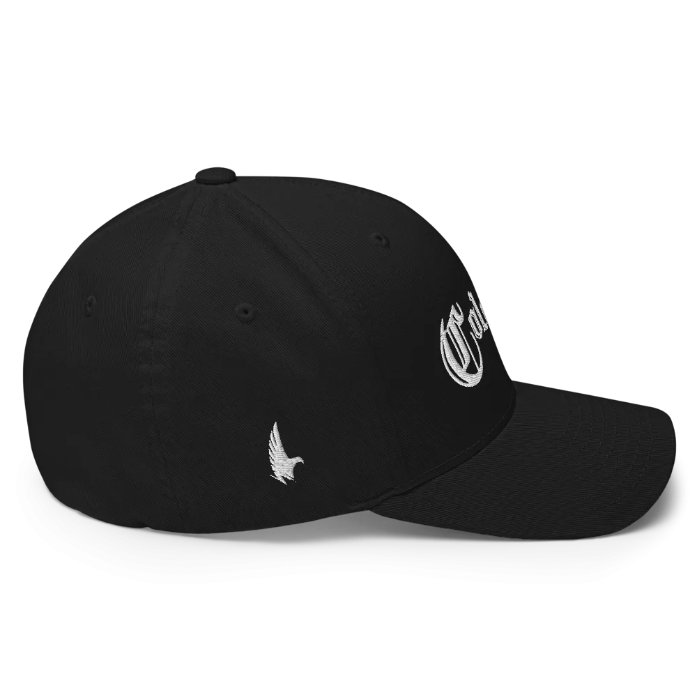 Colorado Fitted Hat