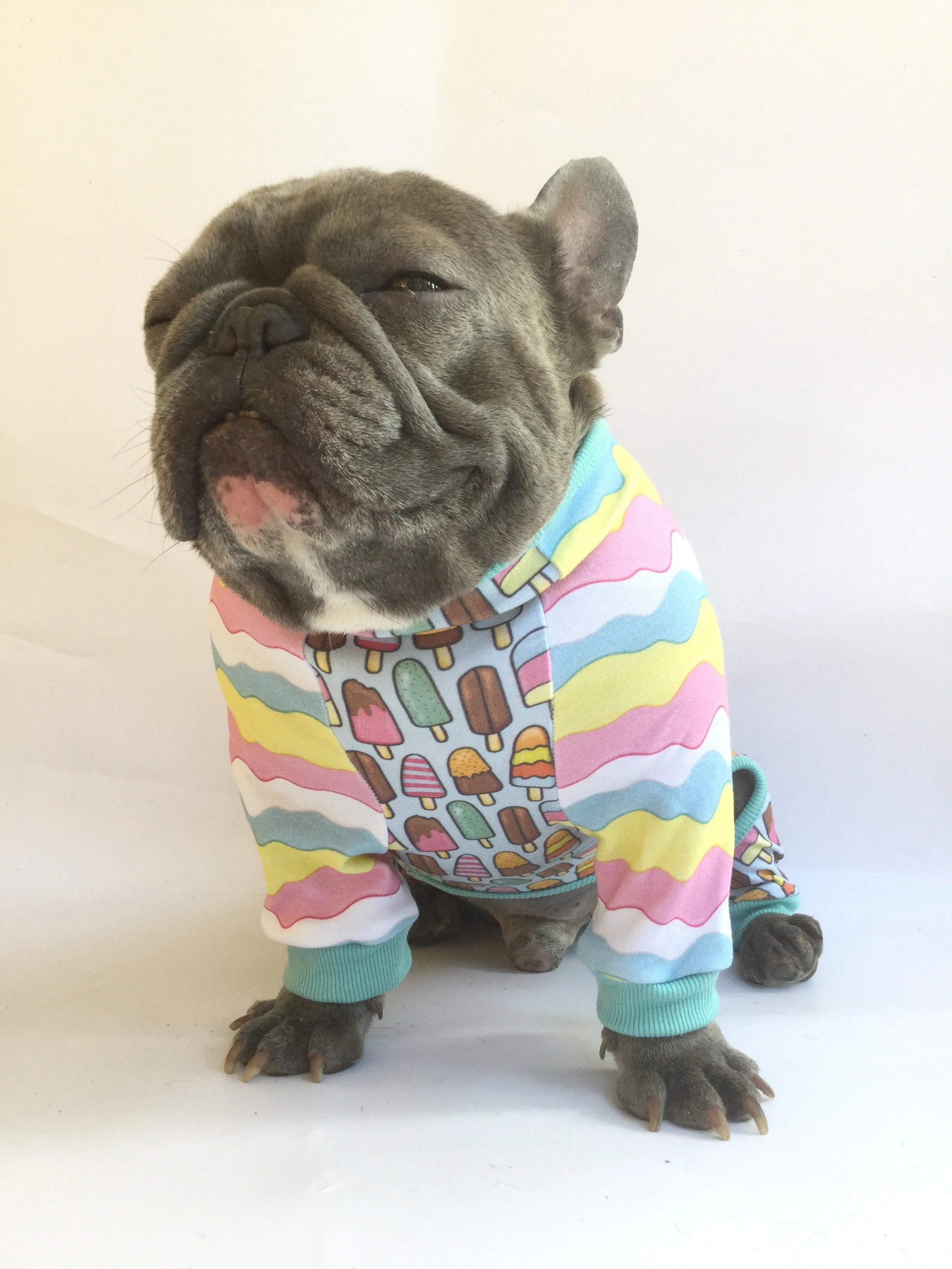 French Bulldog Pajamas | Frenchie Clothing | Ice Cream