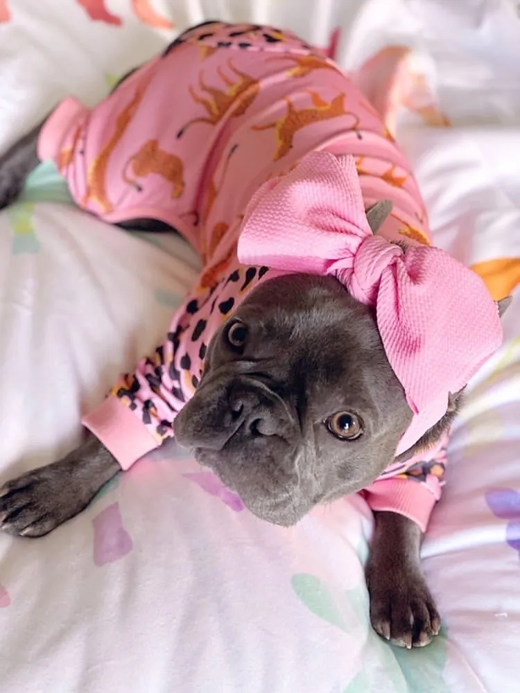 French Bulldog Pajamas | Frenchie Clothing | Wild One