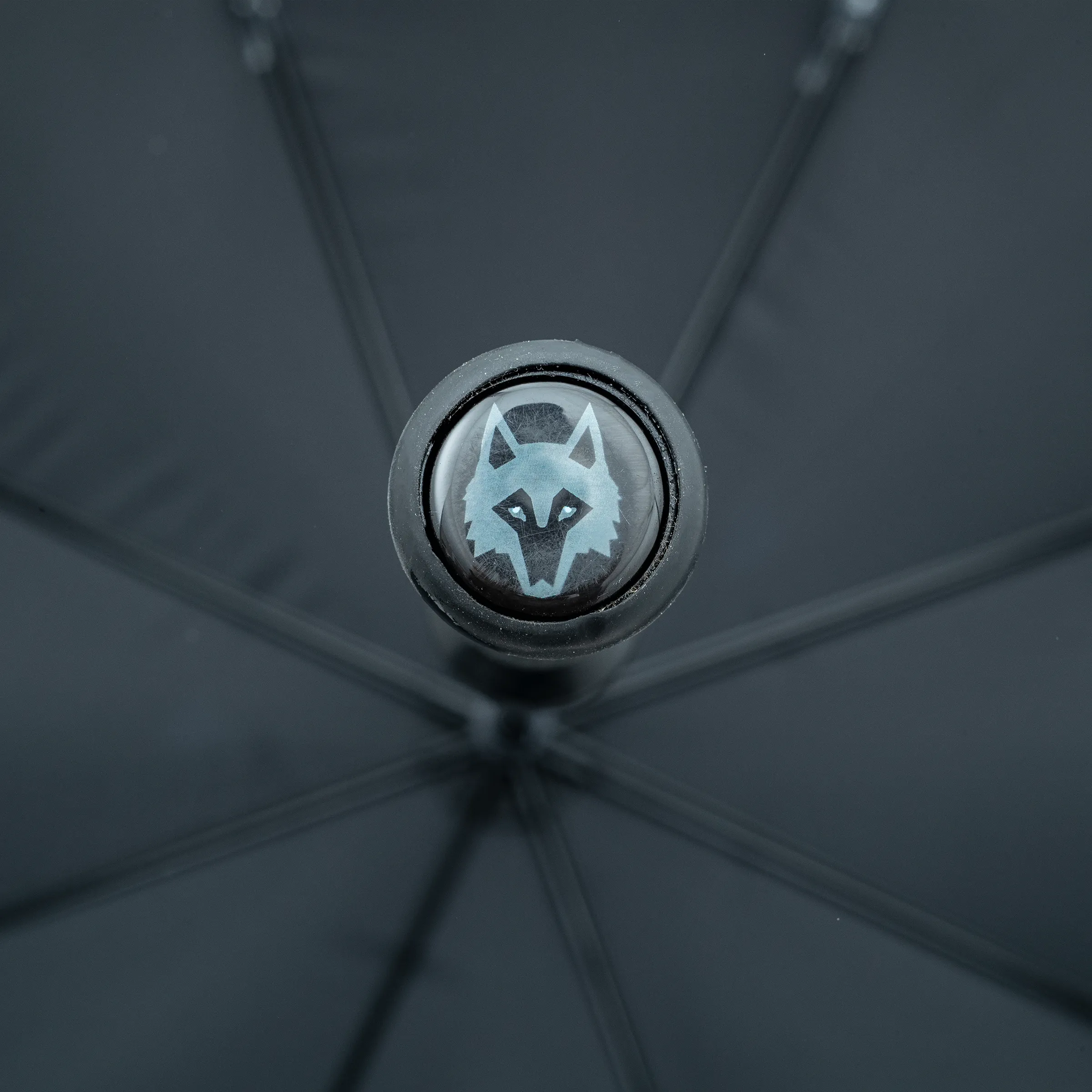 Icon Umbrella